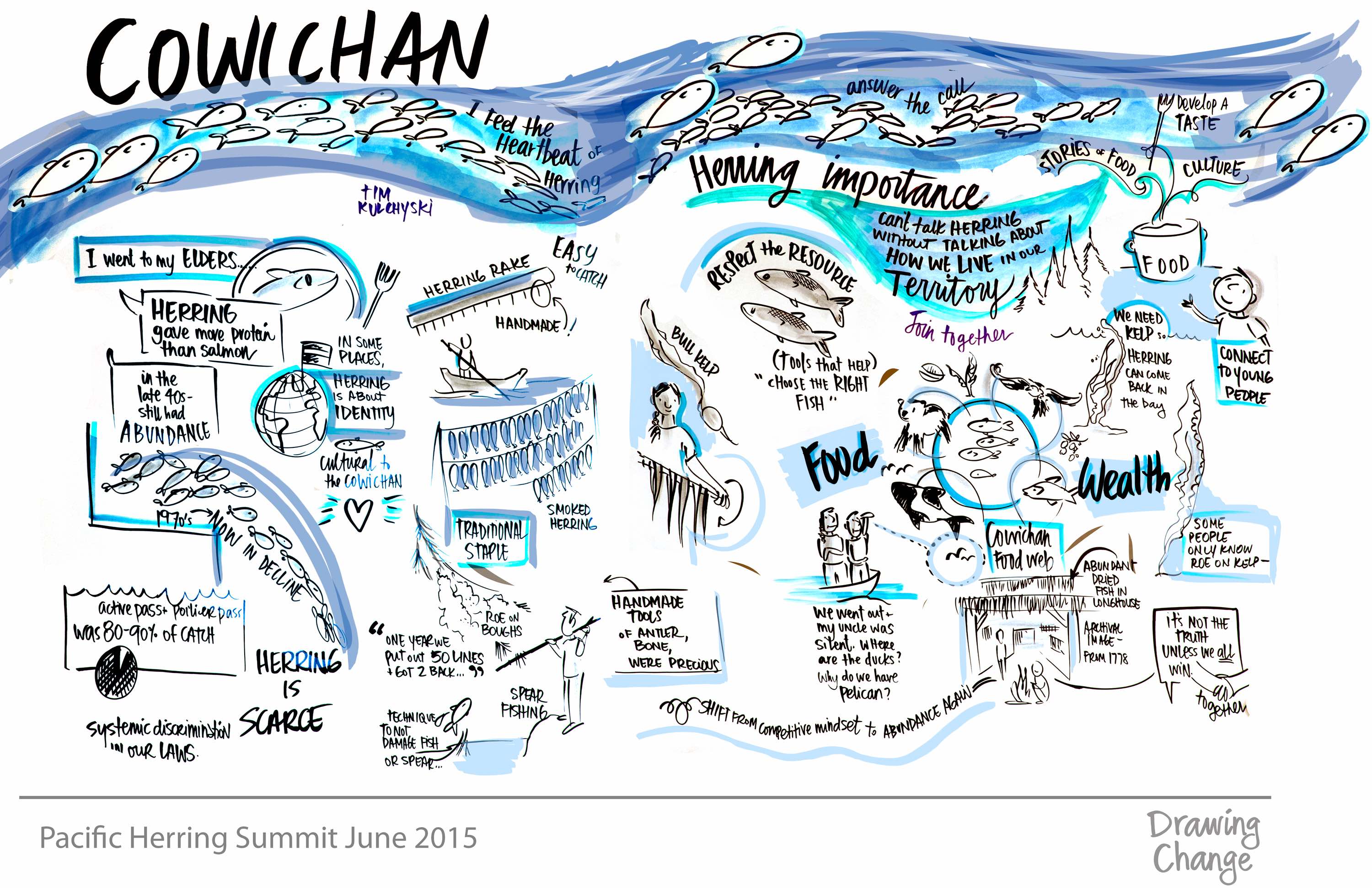 Pacific Herring Summit Cowichan graphic recording