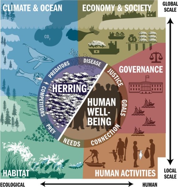 pacific herring social ecological system model 