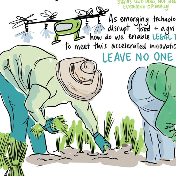 agriculture and data governance - GODAN graphic recording of webinar and report